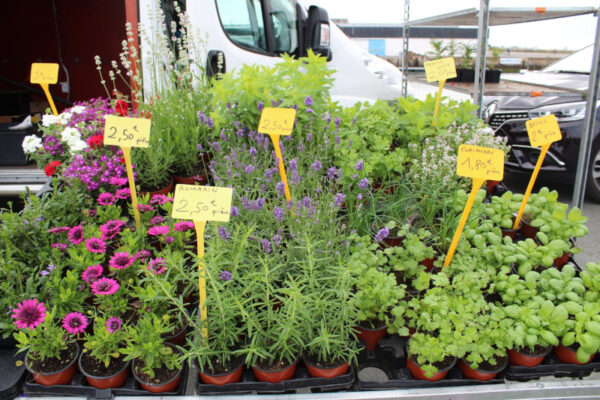 Marché aux fleurs
