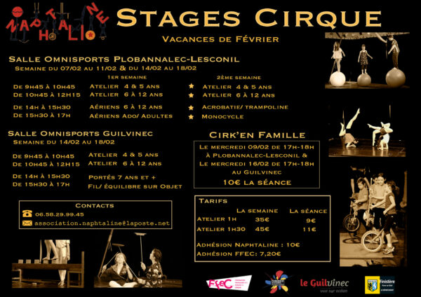Stages de cirque