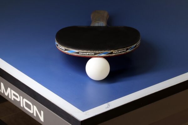 Finales Régionales Tennis de Table