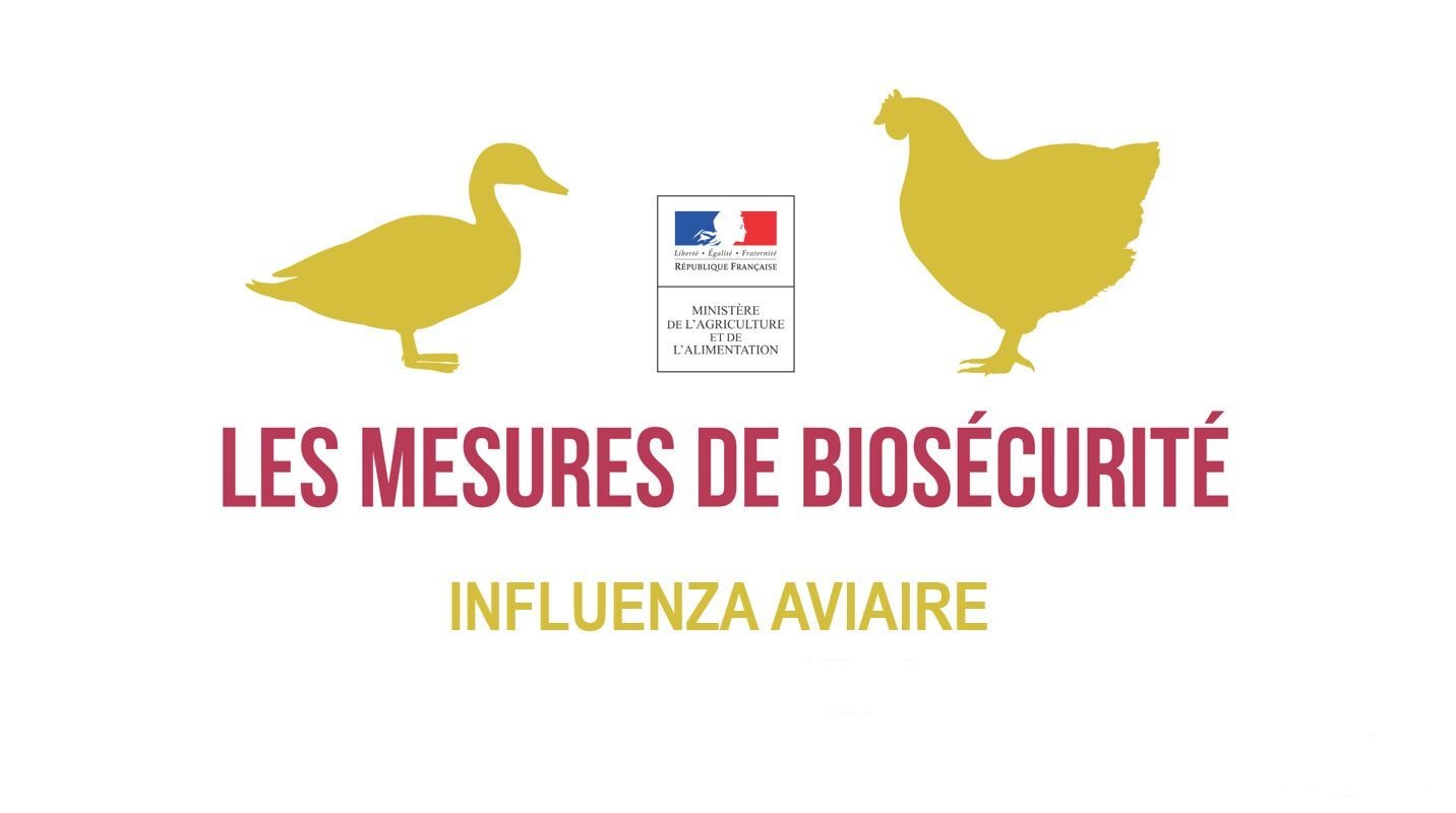 Influenza aviaire