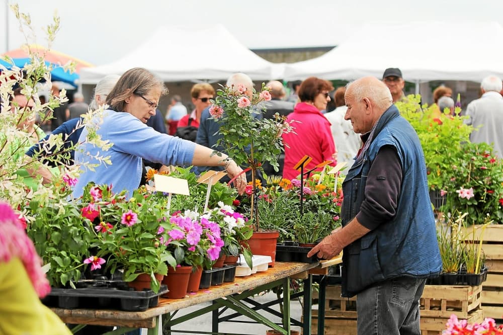 Marché aux fleurs