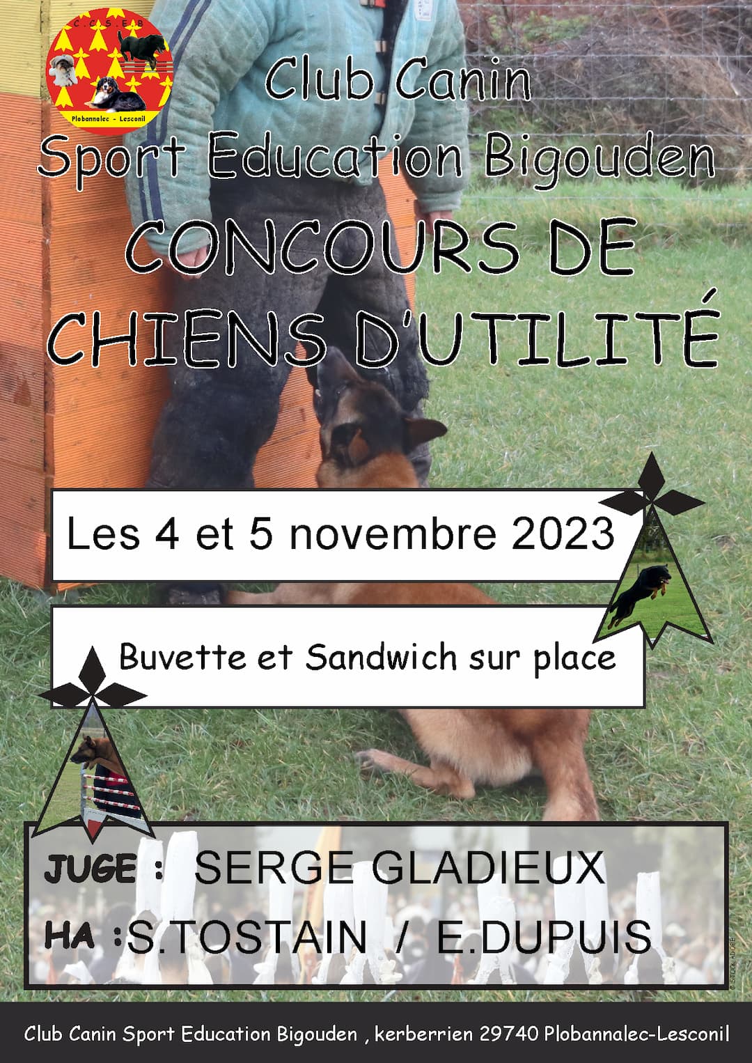 Concours de chien de travail