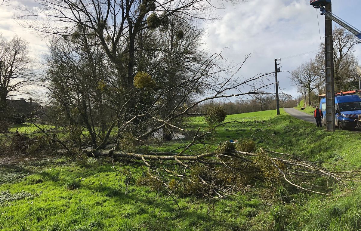 Tempête : Enedis – Urgence électrique