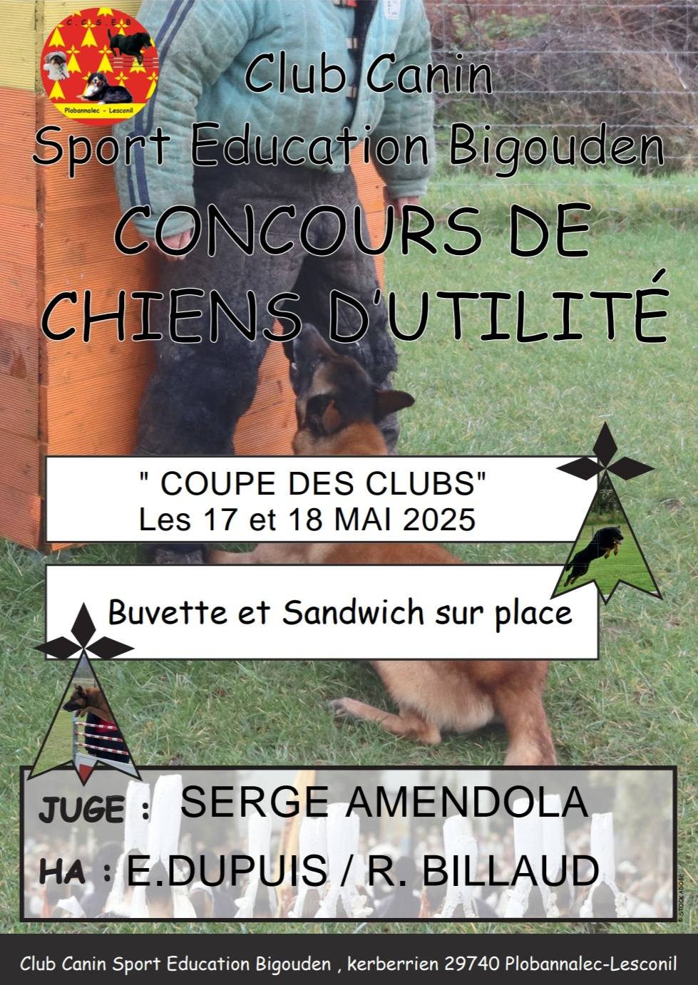 Concours de chiens d’utilité