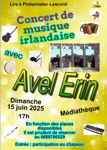 Concert de musique irlandaise avec le groupe Avel Erin