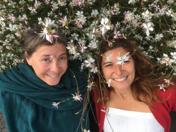 Contes givrés et chocolat-thés