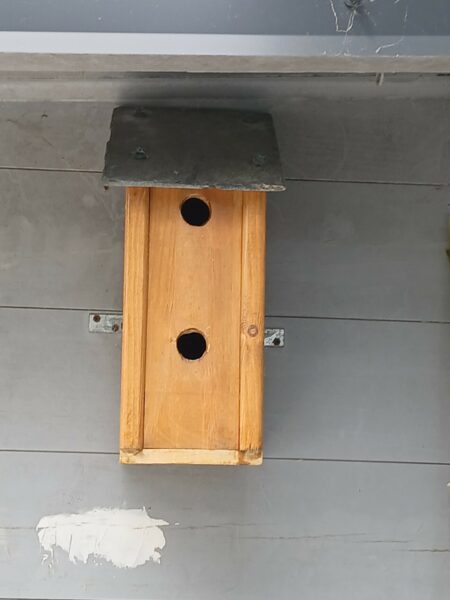 Fabrication de nichoir