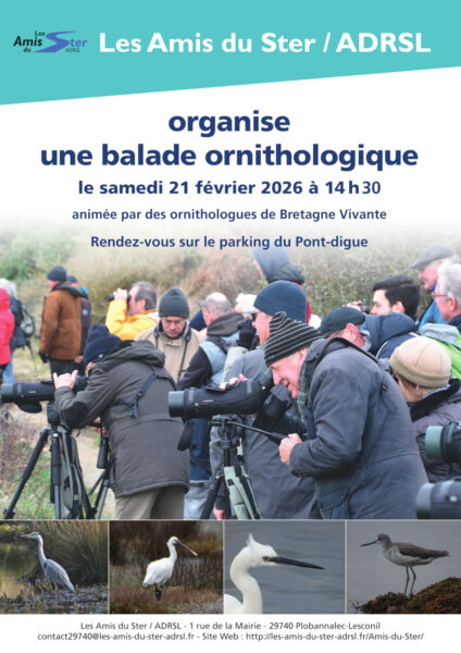 Balade ornithologique