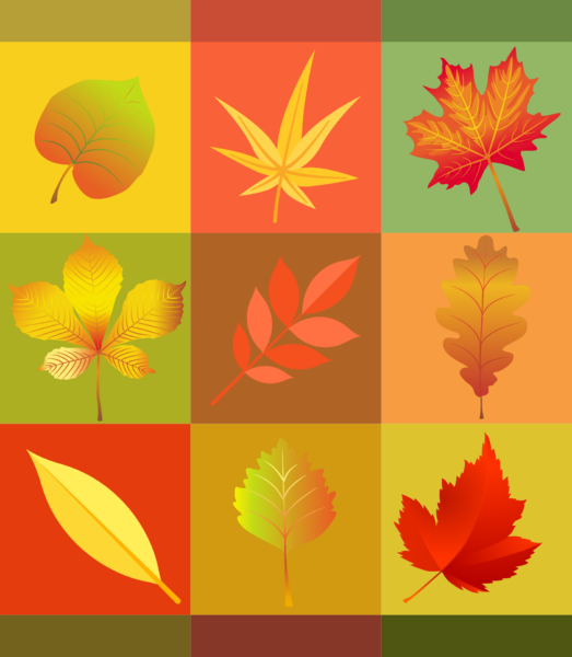 Atelier feuilles d&rsquo;automne