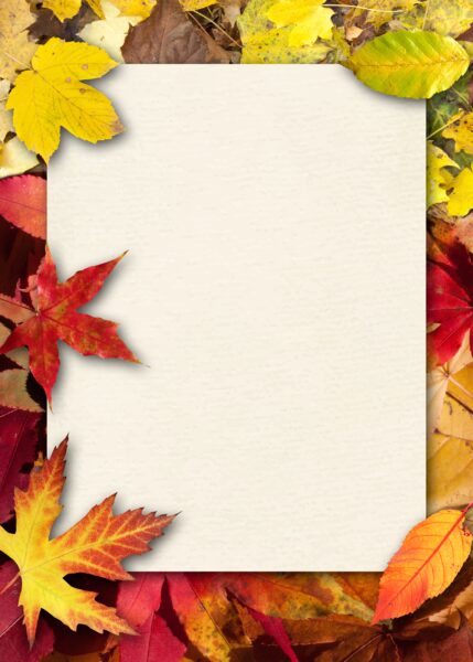 Atelier feuilles d&rsquo;automne